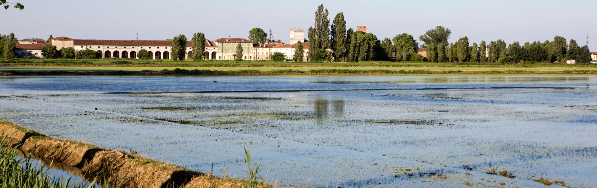 Paesaggio risicolo e Corte Granda Paesaggio risicolo e Corte Granda